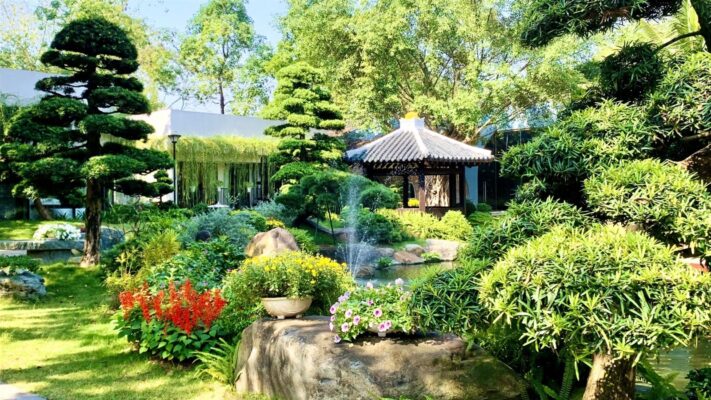 Điểm Danh Các Loài Hoa Mùa Hè Vừa Đẹp Vừa Thơm