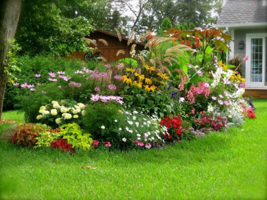 Những Loại Cây Hoa Cảnh Sân Vườn Đẹp Bạn Nên Trồng